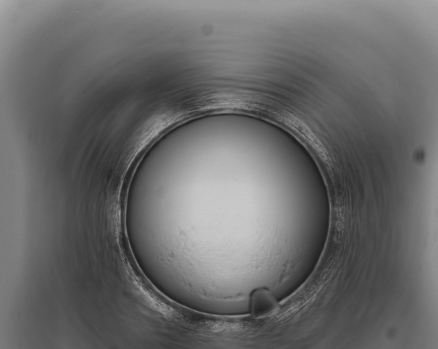 X0000095960890200801181442