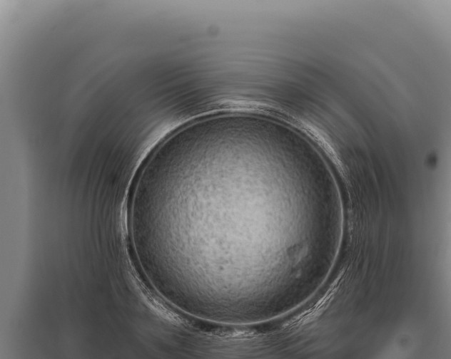 X0000095960891200801181442