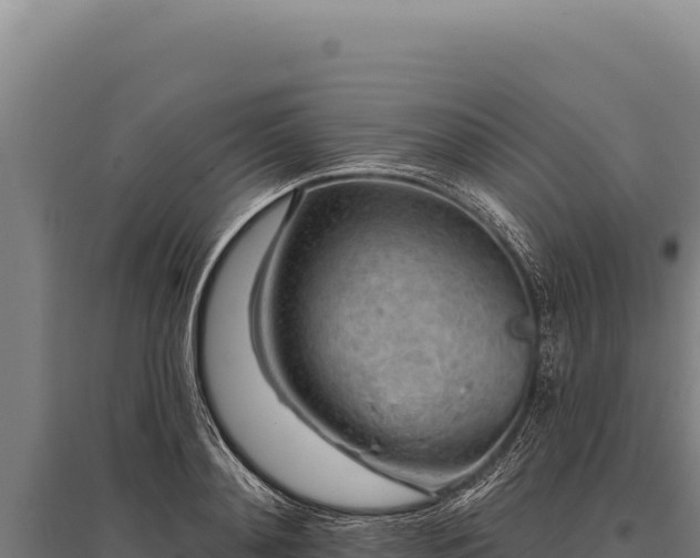 X0000095960892200801181442