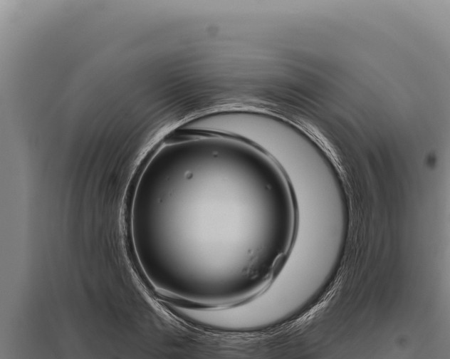 X0000095960893200801181442