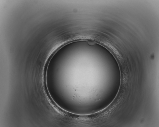 X0000095960894200801181442