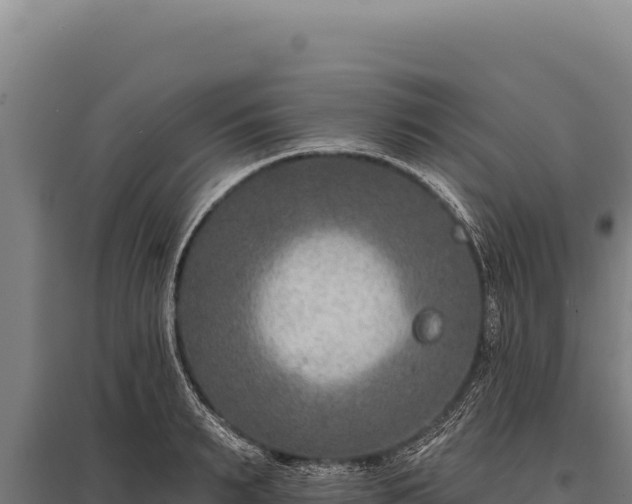 X0000095960895200801181442