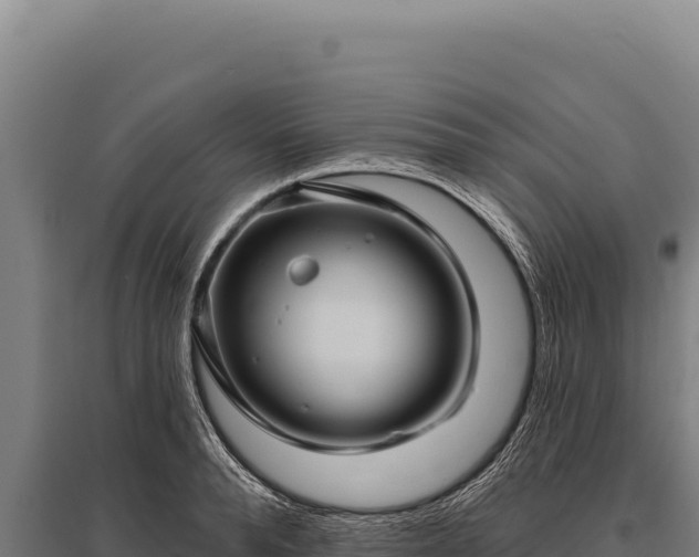 X0000095960896200801181442