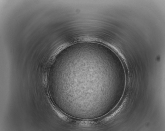 X0000095960897200801181442