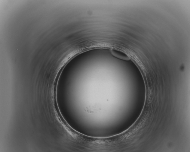 X0000095960898200801181442