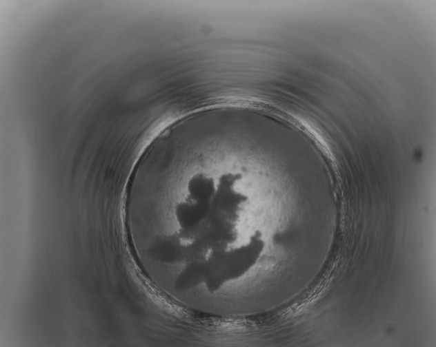 X0000095960899200801181442