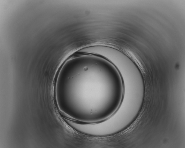 X0000095960900200801181442