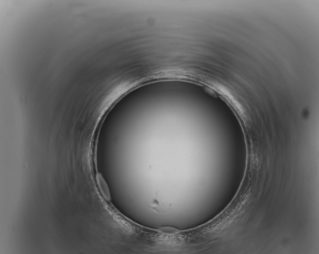 X0000095960901200801181442