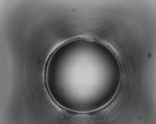 X0000095960902200801181442