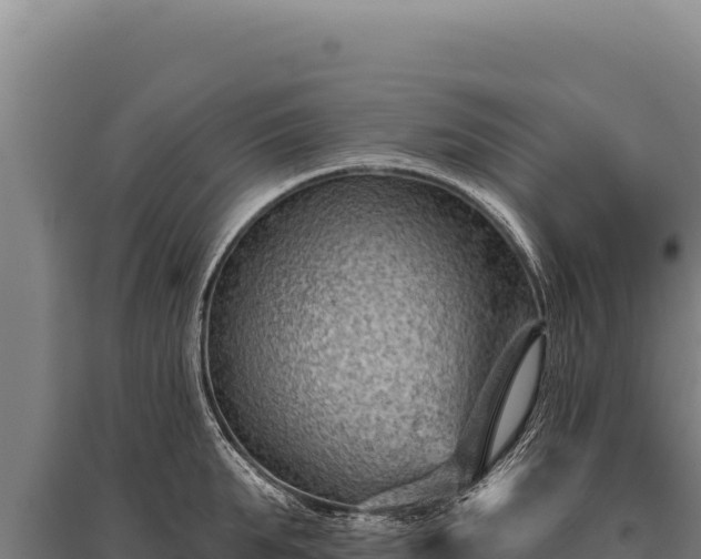 X0000095960903200801181442