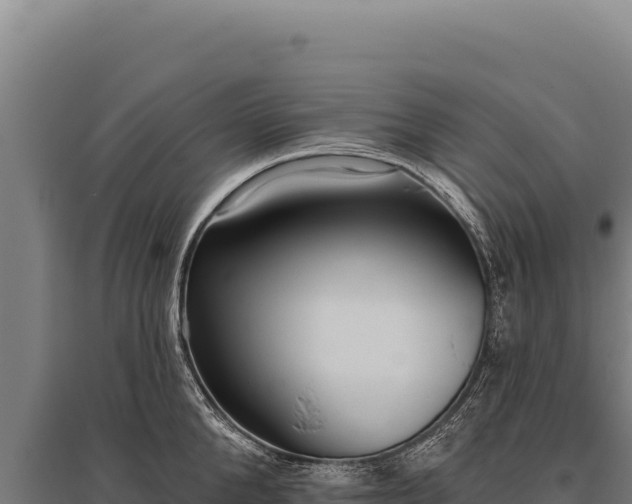 X0000095960904200801181442