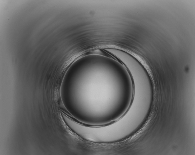 X0000095960905200801181442