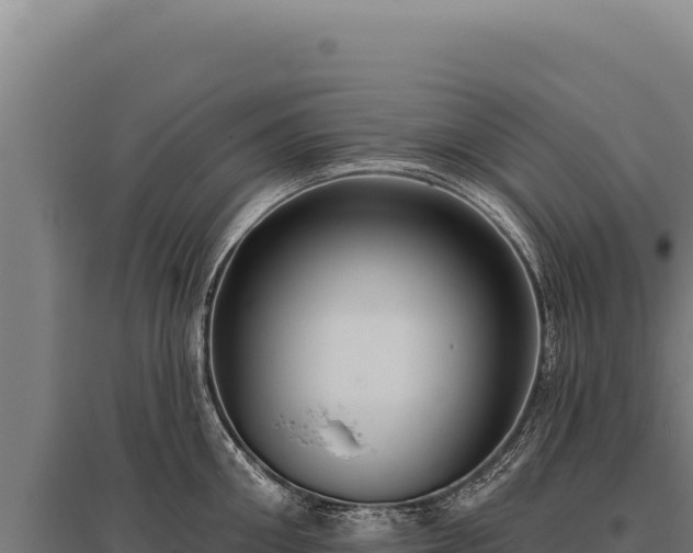 X0000095960906200801181442