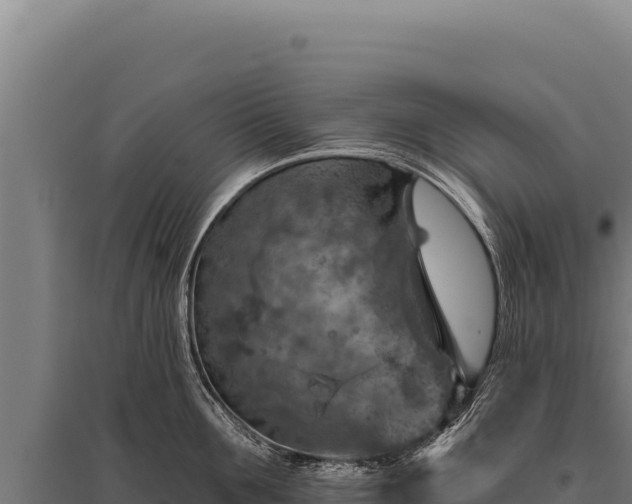 X0000095960907200801181442