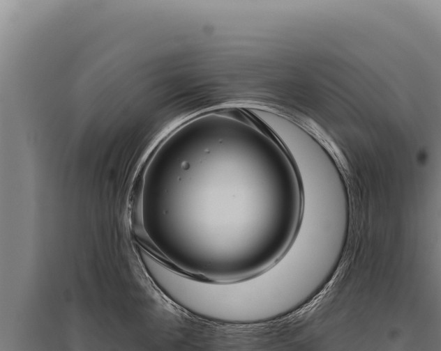 X0000095960908200801181442