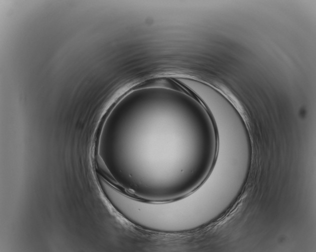 X0000095960909200801181442