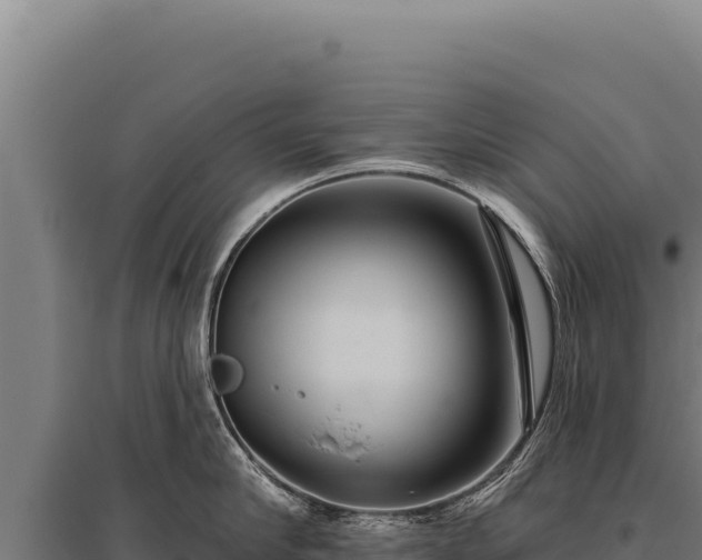 X0000095960910200801181442