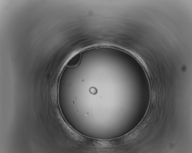 X0000095960911200801181442