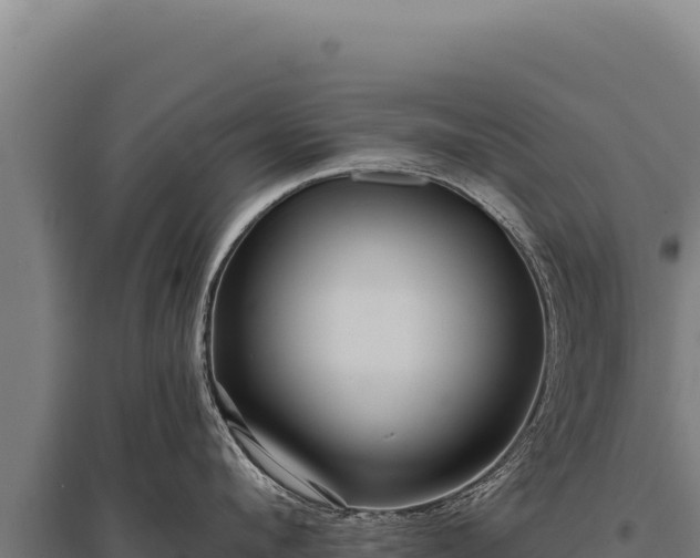 X0000095960912200801181442