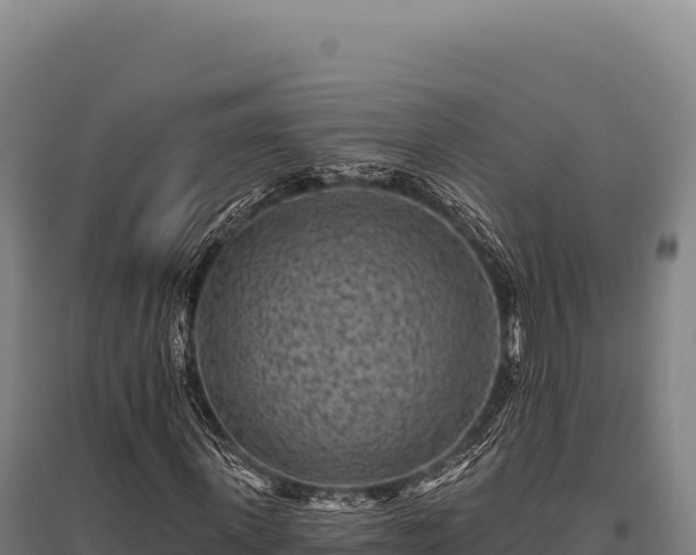 X0000095960915200801181441