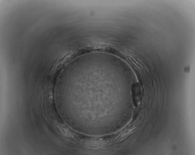 X0000095960916200801181441