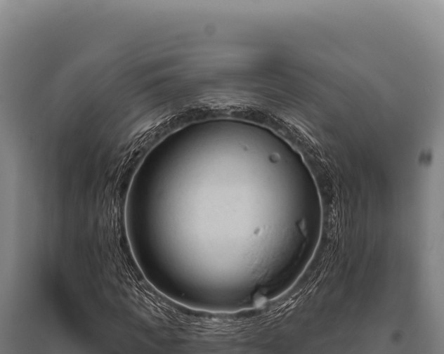 X0000095960917200801181441