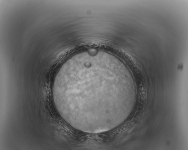 X0000095960918200801181441