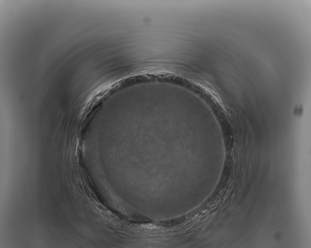 X0000095960920200801181441