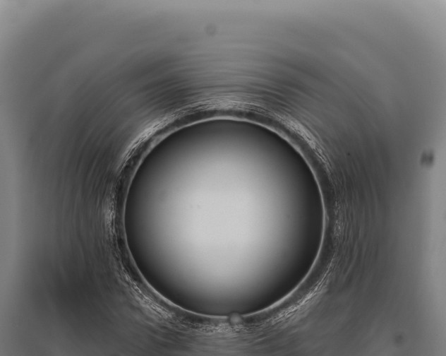 X0000095960922200801181441