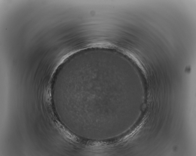 X0000095960923200801181441