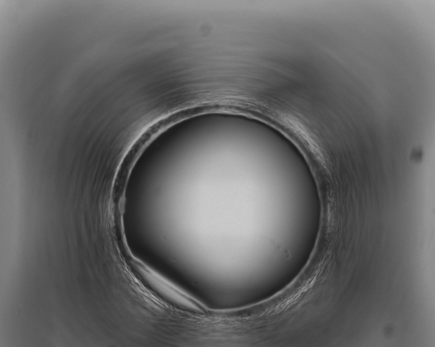 X0000095960924200801181441