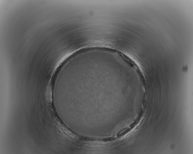 X0000095960925200801181441