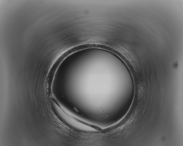 X0000095960926200801181441