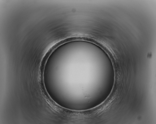 X0000095960927200801181441
