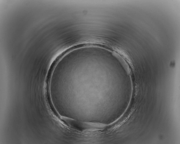 X0000095960928200801181441