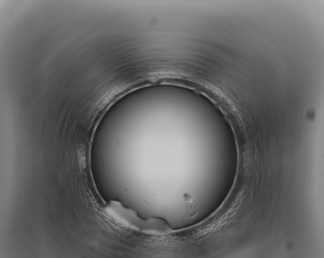 X0000095960929200801181441