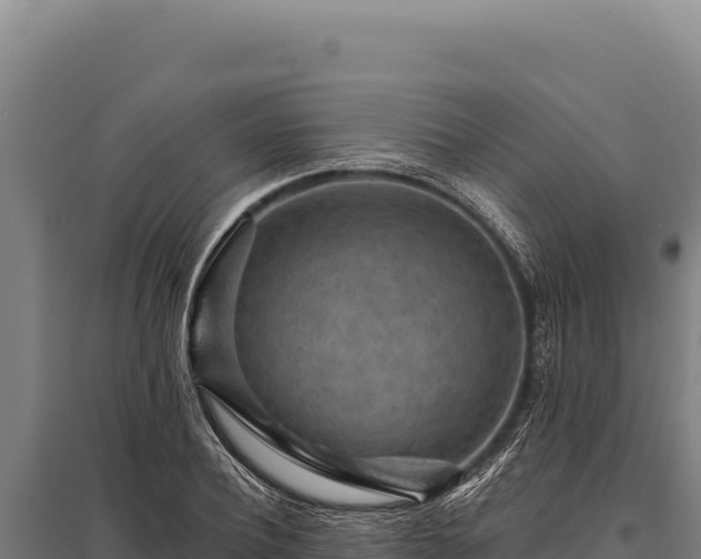 X0000095960932200801181441