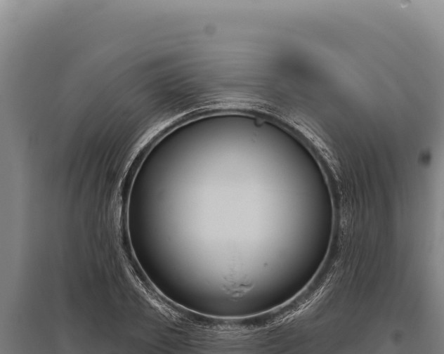 X0000095960933200801181441