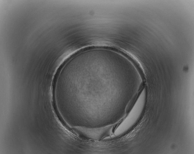 X0000095960935200801181441