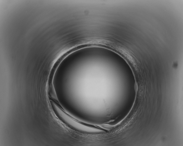 X0000095960936200801181441