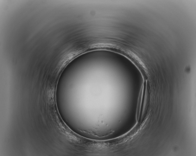 X0000095960937200801181441