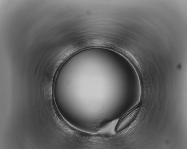 X0000095960938200801181441