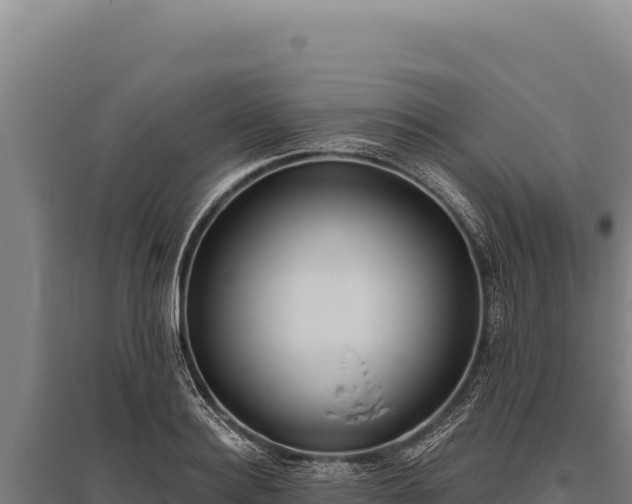 X0000095960940200801181442