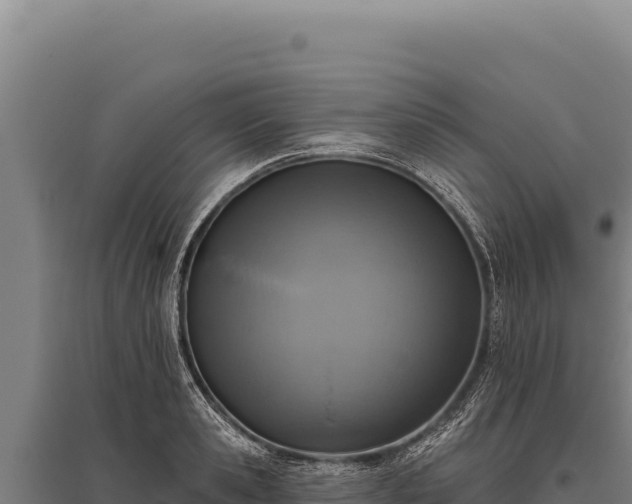 X0000095960941200801181442