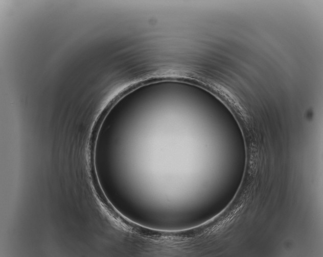 X0000095960942200801181442