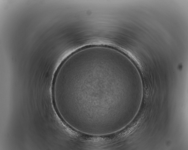 X0000095960943200801181442