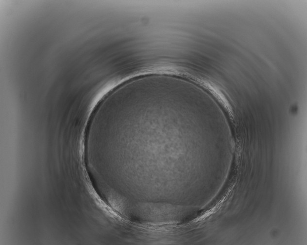 X0000095960944200801181442