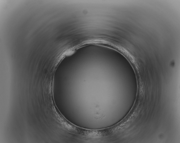 X0000095960945200801181442