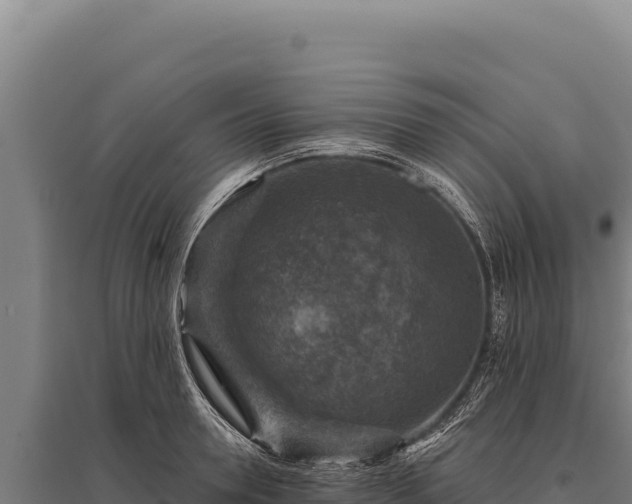 X0000095960946200801181442