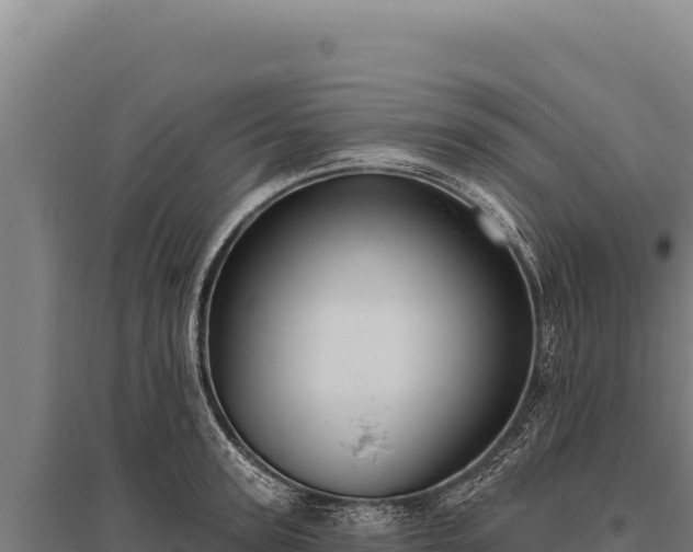 X0000095960947200801181442